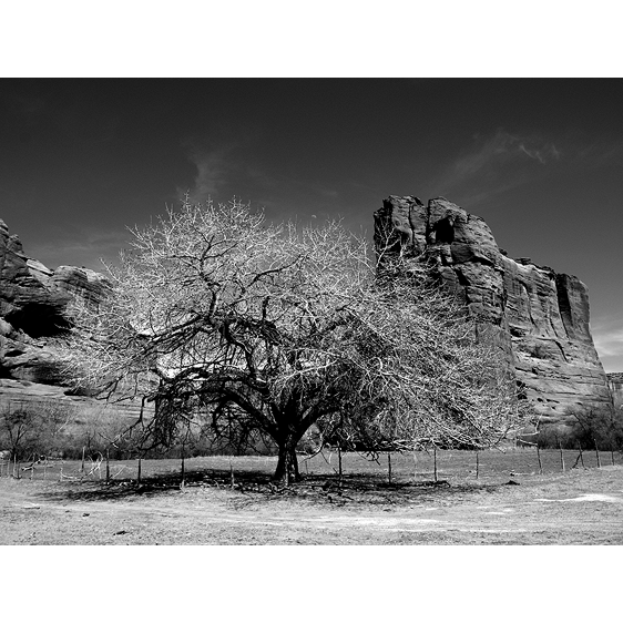 Fortress Rock | Canyon De Chelly, Arizona