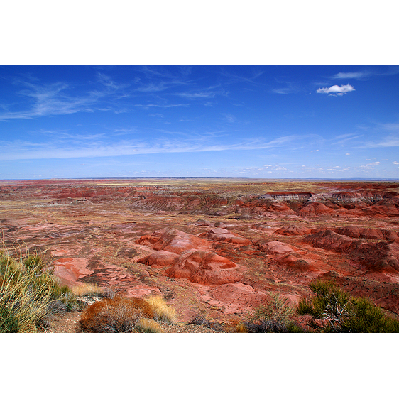 Painted Desert | Winslow, Arizona