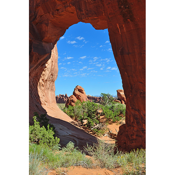 Pinetree Arch | Moab, Utah